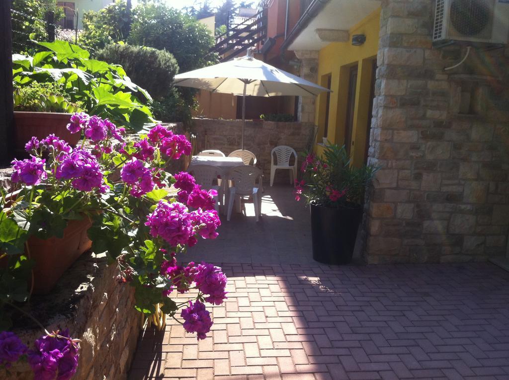 Apartment Sincic Novigrad Istria Exteriér fotografie