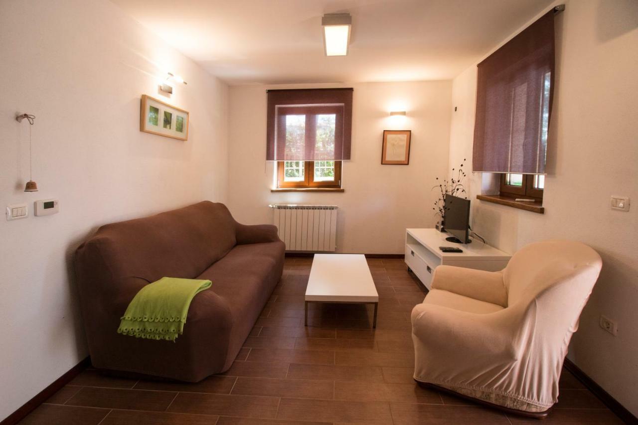 Apartment Sincic Novigrad Istria Exteriér fotografie