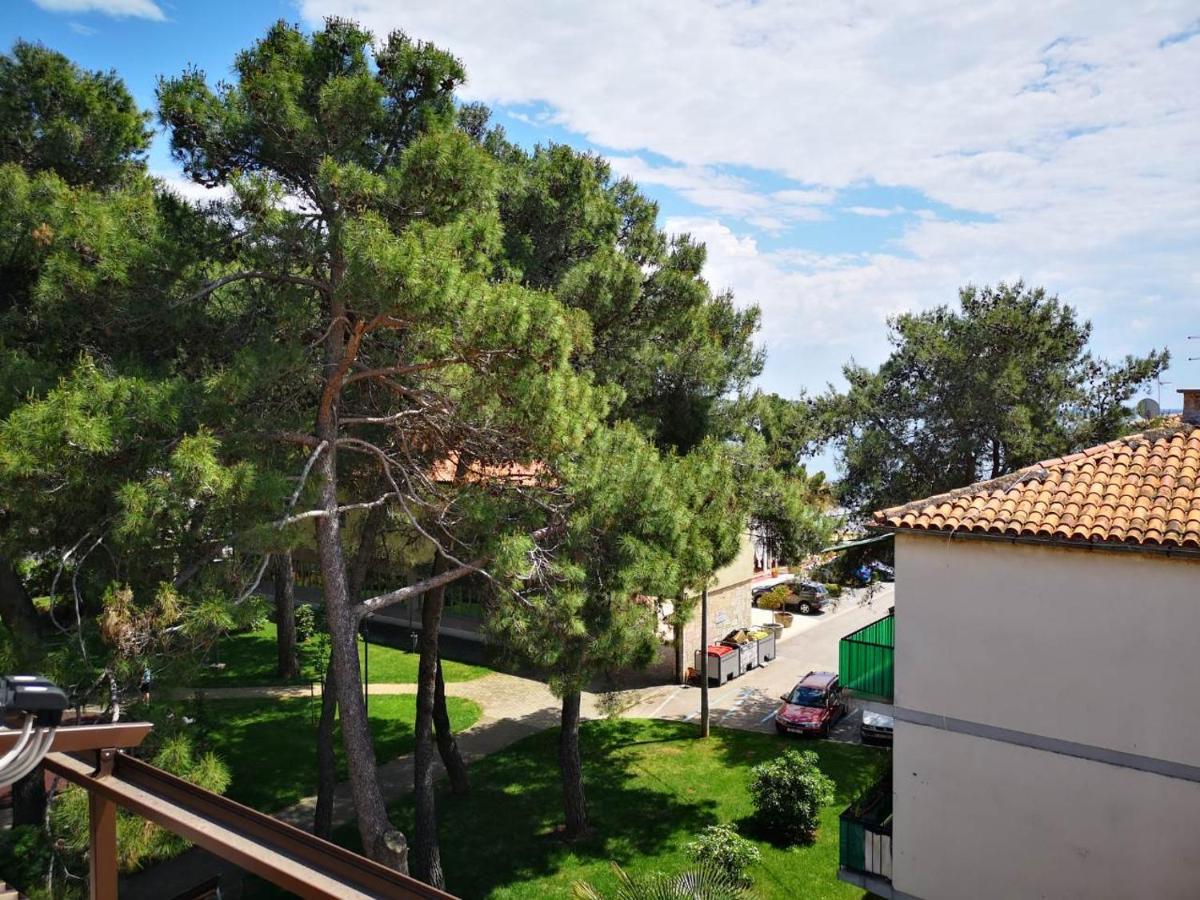 Apartment Sincic Novigrad Istria Exteriér fotografie